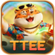 tteegame.com favicon